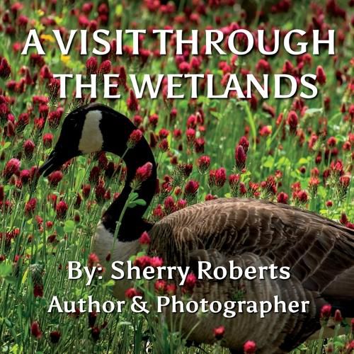 A Visit Through the Wetlands