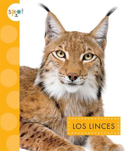 Cover image for Los Linces