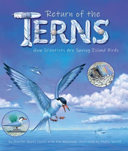 Cover image for Return of the Terns