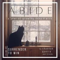 Cover image for Surrender to Win