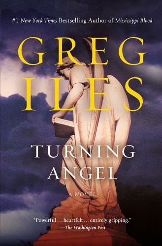 Cover image for Turning Angel