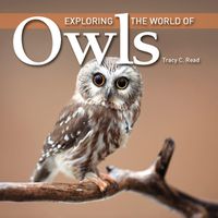 Cover image for Exploring the World of Owls