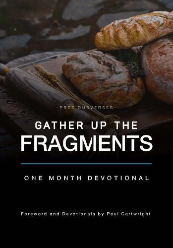 Cover image for Gather Up the Fragments