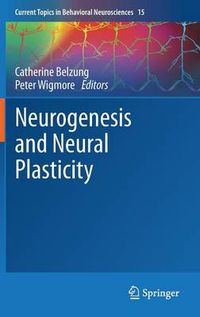 Cover image for Neurogenesis and Neural Plasticity