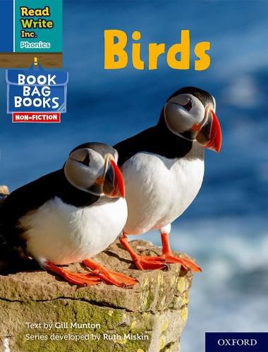 Cover image for Read Write Inc. Phonics: 4 Birds (Blue Set 6 NF Book Bag Book)