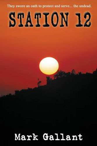 Cover image for Station 12