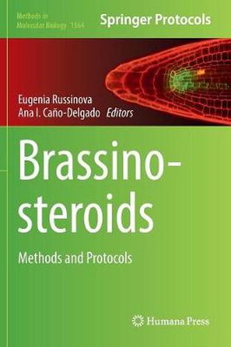 Cover image for Brassinosteroids: Methods and Protocols