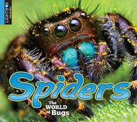 Cover image for Spiders