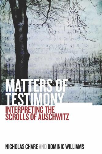 Cover image for Matters of Testimony: Interpreting the Scrolls of Auschwitz