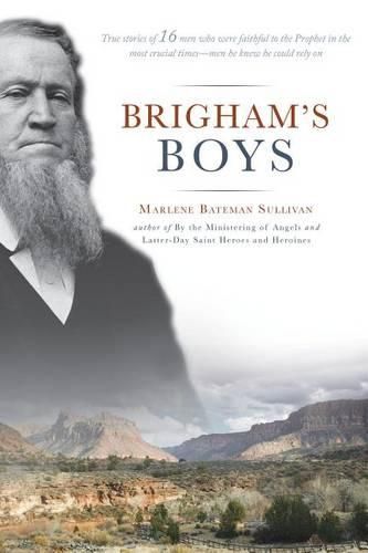 Cover image for Brigham's Boys