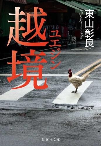 Cover image for Crossing Borders