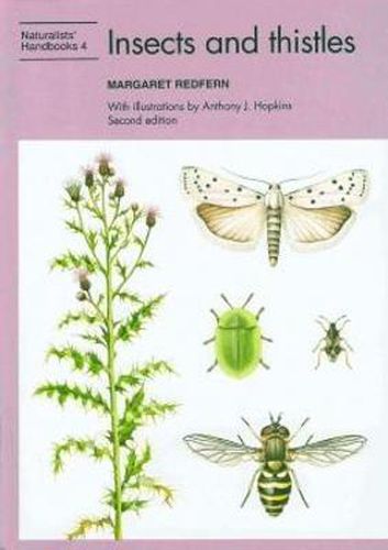 Cover image for Insects and thistles