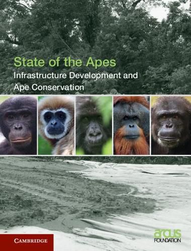 Cover image for Infrastructure Development and Ape Conservation: Volume 3