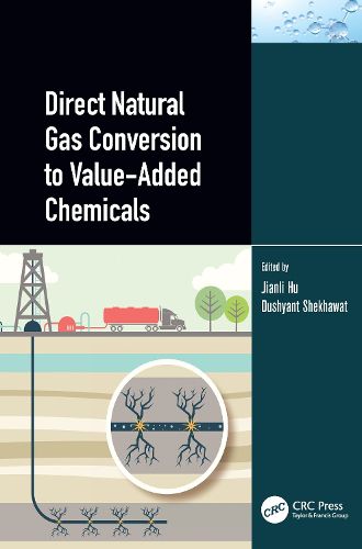 Cover image for Direct Natural Gas Conversion to Value-Added Chemicals