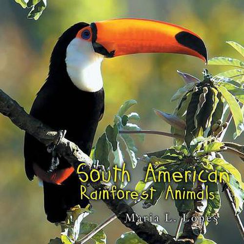 Cover image for South American Rainforest Animals