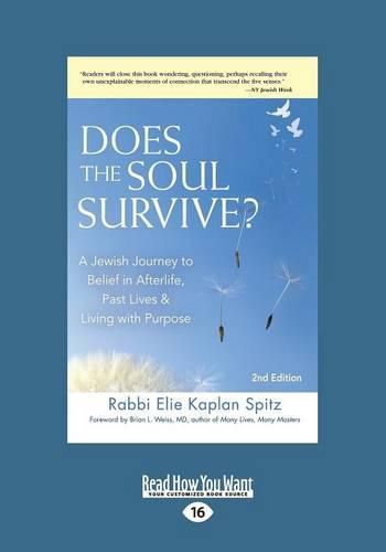 Cover image for Does the Soul Survive?: A Jewish Journey to Belief in Afterlife, Past Lives & Living with Purpose - 2nd Edition