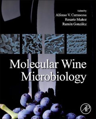 Cover image for Molecular Wine Microbiology