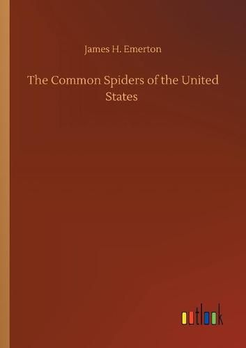 Cover image for The Common Spiders of the United States