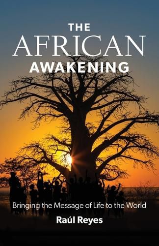 Cover image for The African Awakening