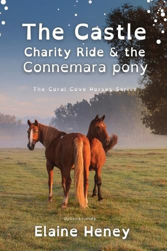 The Castle Charity Ride and the Connemara Pony - Dyslexia Friendly