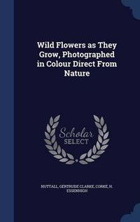 Cover image for Wild Flowers as They Grow, Photographed in Colour Direct from Nature