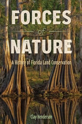 Cover image for Forces of Nature: A History of Florida Land Conservation