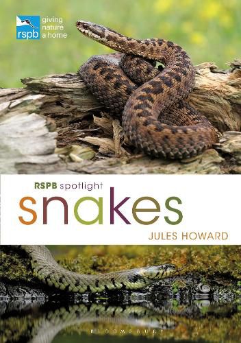 Cover image for RSPB Spotlight Snakes