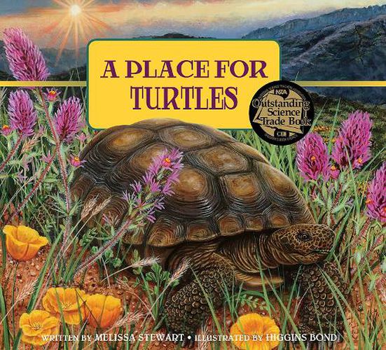 Cover image for A Place for Turtles