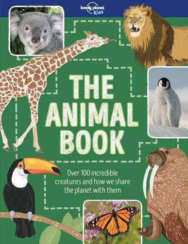 Cover image for The Animal Book