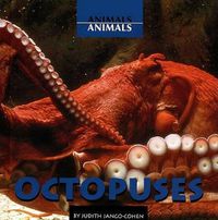 Cover image for Octopuses