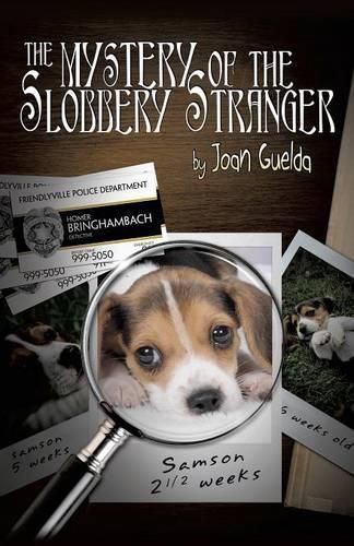 Cover image for Mystery of the Slobbery Stranger