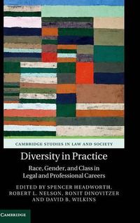 Cover image for Diversity in Practice: Race, Gender, and Class in Legal and Professional Careers