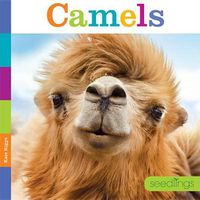 Cover image for Seedlings: Camels