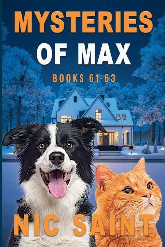 Cover image for Mysteries of Max
