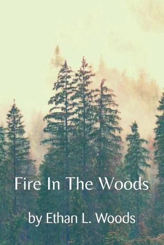 Cover image for Fire in the Woods