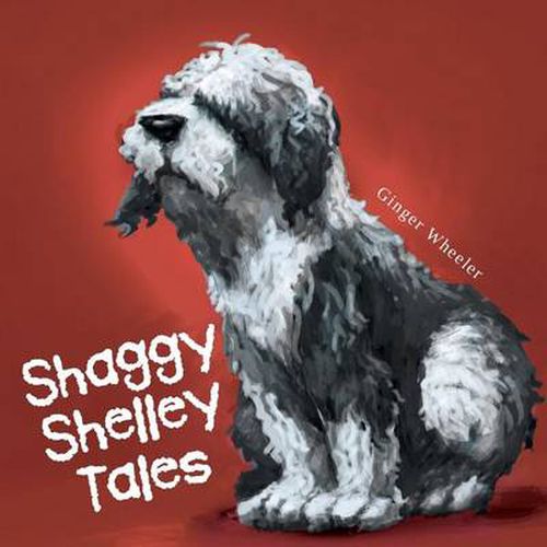 Cover image for Shaggy Shelley Tales
