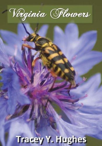 Cover image for Virginia Flowers