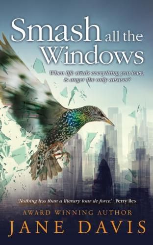Cover image for Smash all the Windows