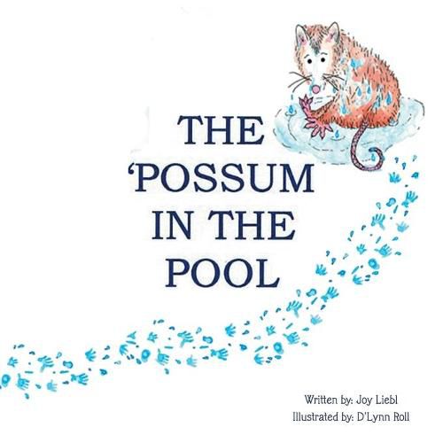 Cover image for The Possum in the Pool