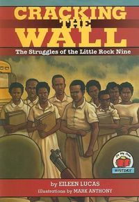 Cover image for Cracking The Wall