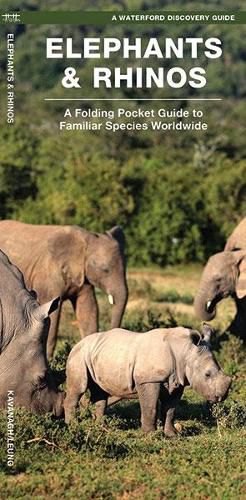 Cover image for Elephants & Rhinos: A Folding Pocket Guide to the Status of Familiar Species