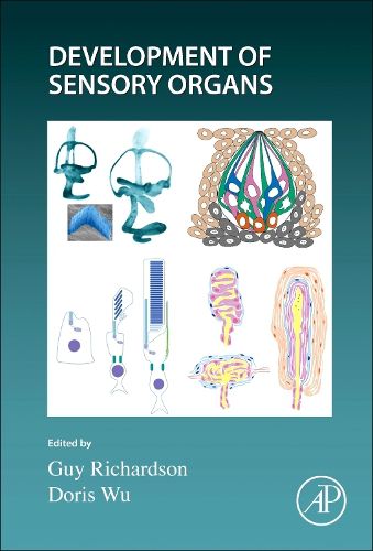 Cover image for Development of Sensory Organs: Volume 165