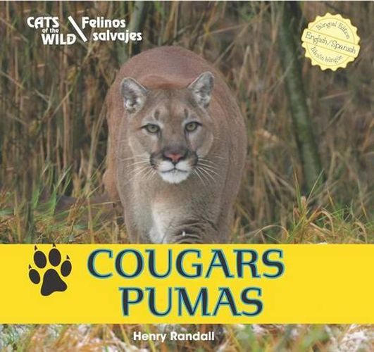 Cover image for Cougars / Pumas