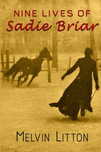 Cover image for Nine Lives of Sadie Briar