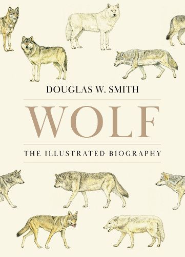 Cover image for Wolf