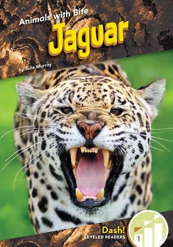 Cover image for Jaguar