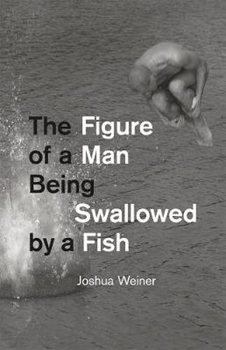 Cover image for The Figure of a Man Being Swallowed by a Fish