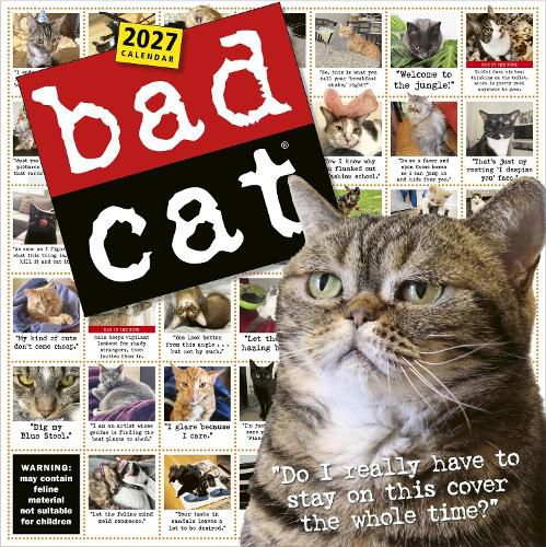 Cover image for Bad Cat Wall Calendar 2027