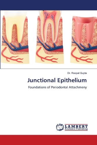 Cover image for Junctional Epithelium
