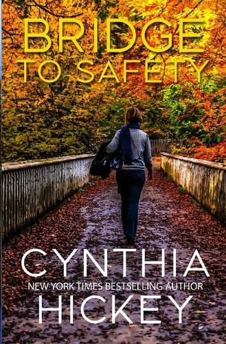 Cover image for Bridge to Safety
